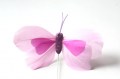 Veren vlinder licht en donker roze 207499